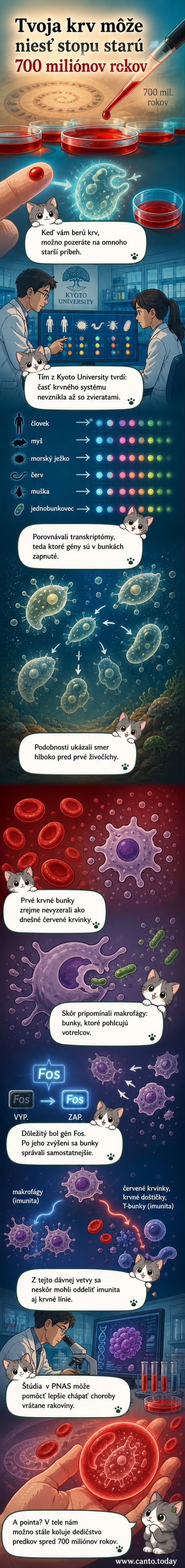 Ilustrácia evolučného vývoja krvných buniek od jednobunkovcov po súčasného človeka, s dôrazom na genetickú spojitosť cez gén Fos.