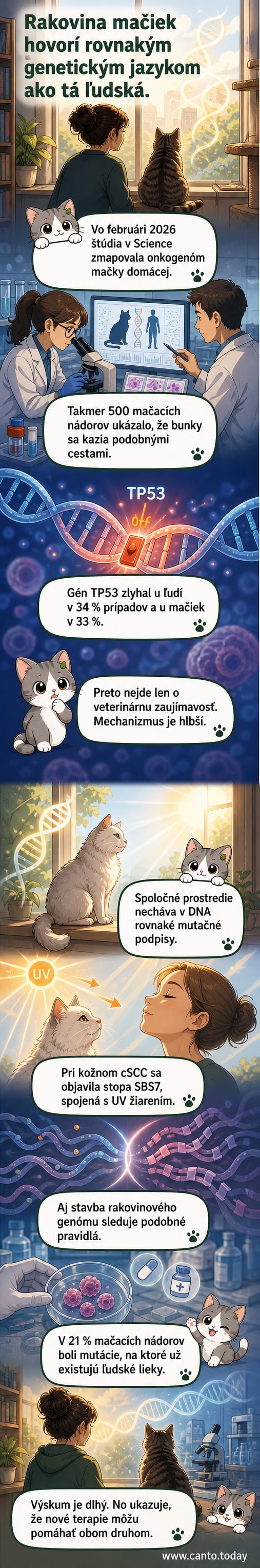Ilustrácia zobrazuje porovnanie ľudskej a mačacej DNA s vyznačenými spoločnými mutáciami v génoch TP53 a FBXW7, na pozadí slnečného žiarenia a laboratórneho mikroskopu.