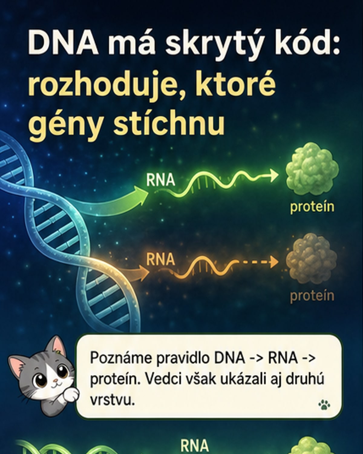 DNA má druhý skrytý kód