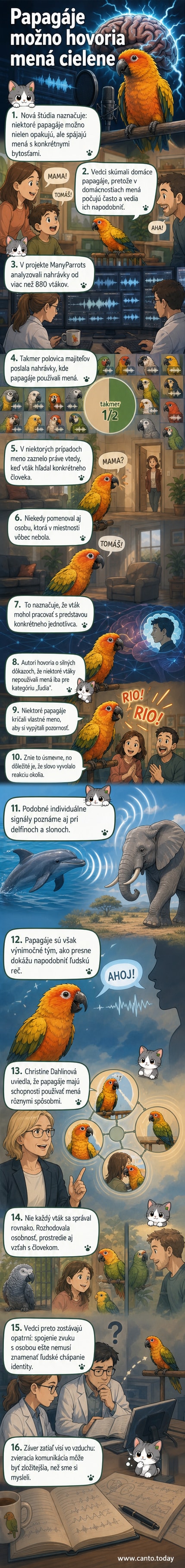 Ilustrácia papagája na ramene človeka, ktorý hovorí meno – vizuálna reprezentácia štúdie o tom, ako papagáje používajú ľudské mená v kontexte.