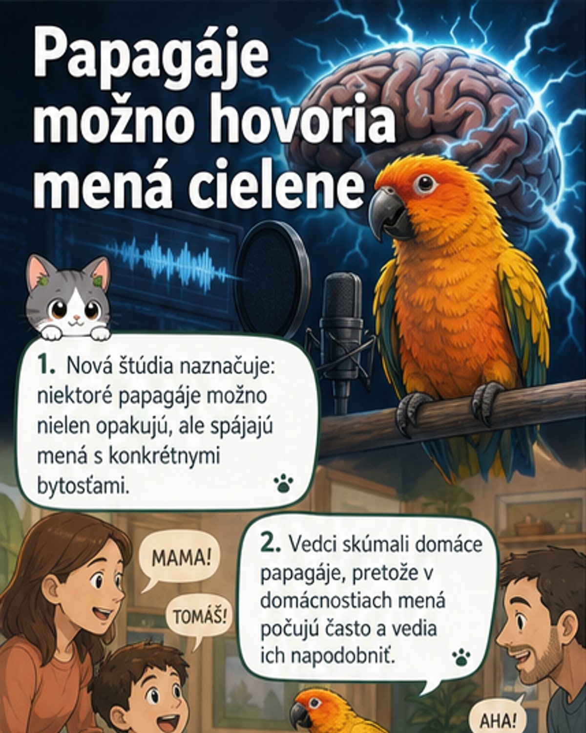 Papagáje možno rozumejú menám