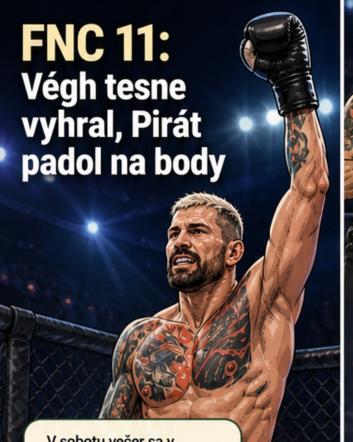 Végh, Pirát, Buchinger na boxe