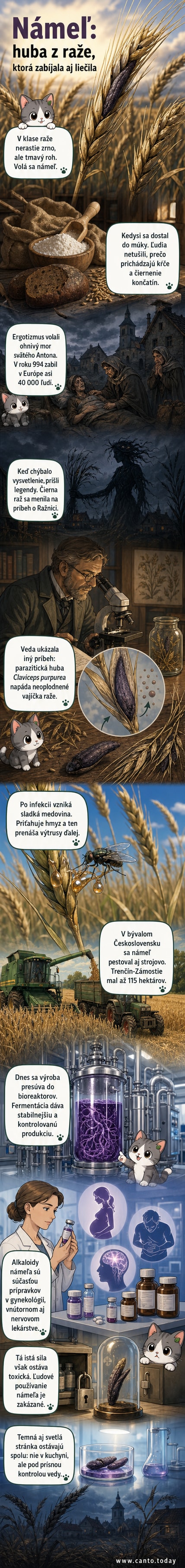 Ilustrácia kyjaničky purpurovej rastúcej na klase raži s detailom fialového námeľa a historickým motívom Ražnice z nemeckého folklóru.