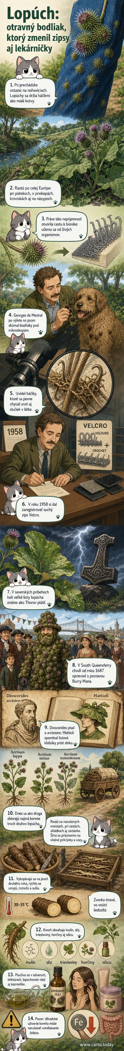 Ilustrácia lopúcha s pichľavými semenami a detailom háčikov, ktoré sa chytajú za látku, vedľa ikony suchého zipsu.