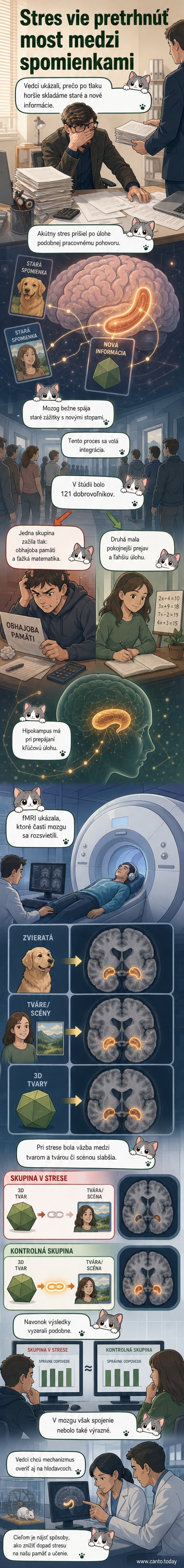 Ilustrácia ľudského mozgu s vyznačeným hipokampom, ktorý je slabo osvetlený pri stresovej situácii a plne osvetlený v pokojnom stave.