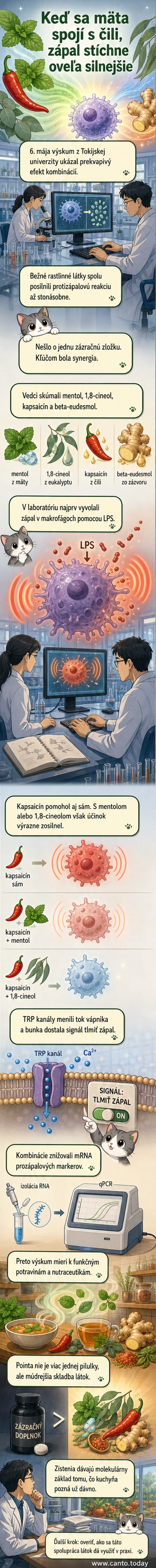 Ilustrácia ukazuje molekuly mentolu, eukalyptolu a kapsaicínu, ako sa spájajú a spoločne blokujú zápalové signály v bunkách imunitného systému.