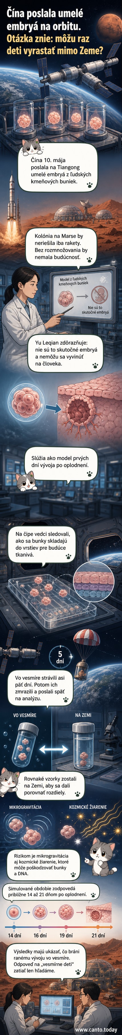 Ilustrácia čínskej vesmírnej stanice Tiangong s bunkovými štruktúrami v mikrofluidickom čipe, kde sa formujú vrstvy umelého embrya v podmienkach mikrogravitácie