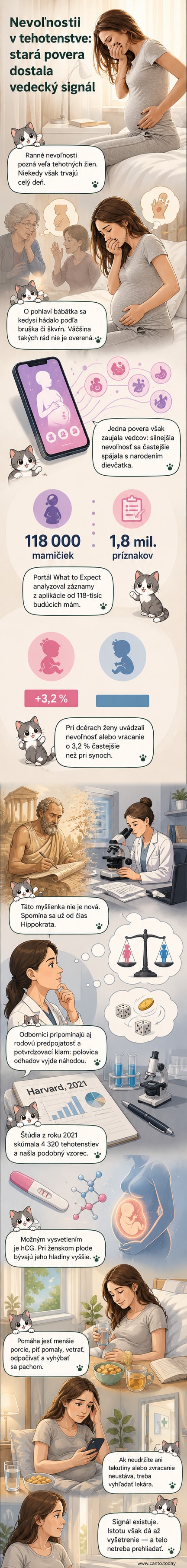 Ilustrácia tehotnej ženy s rukou na bruchu, na pozadí graf s hladinou hCG hormónu a ikony dievčatka a chlapčeka.