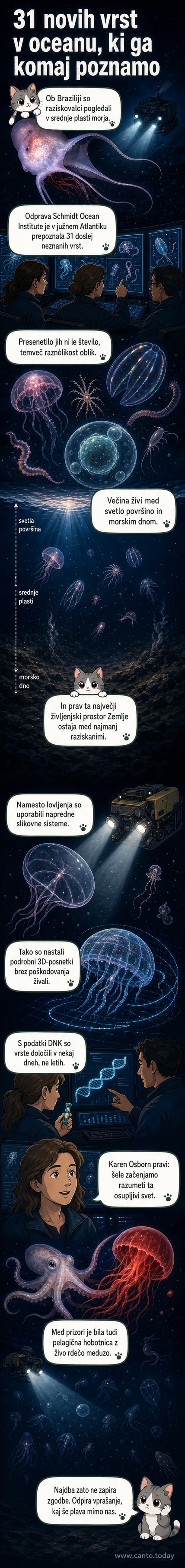 Ilustracija nenavadnih morskih bitij iz globin oceana: prozorne meduze, dolgi črvi in lebdeči rebrači pod morsko gladino.