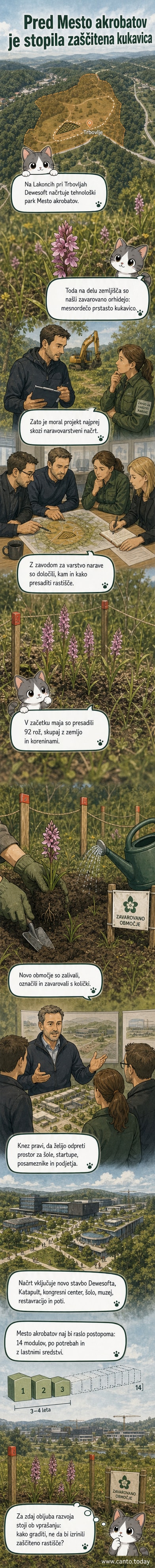 Delavci previdno presajajo majhne rastline orhidej s prekrivko zemlje na novem zavarovanem lokaciji v Zasavju, v ozadju je označeno območje in modra ograja.
