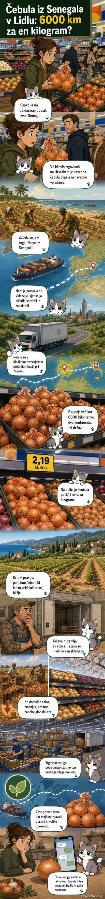 Ilustracija poti čebule iz Senegala prek Španije do hrvaške trgovine, z zemljevidom in ikonami ladje, tovornjaka in polic.