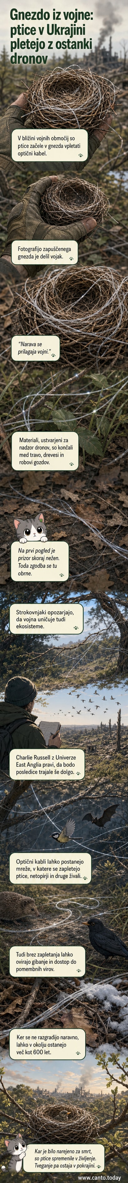 Ilustracija: ptica gradi gnezdo iz srebrnega optičnega kabla, ki visi z drevesa na vojenskem ozadju z ruševinami in droni.