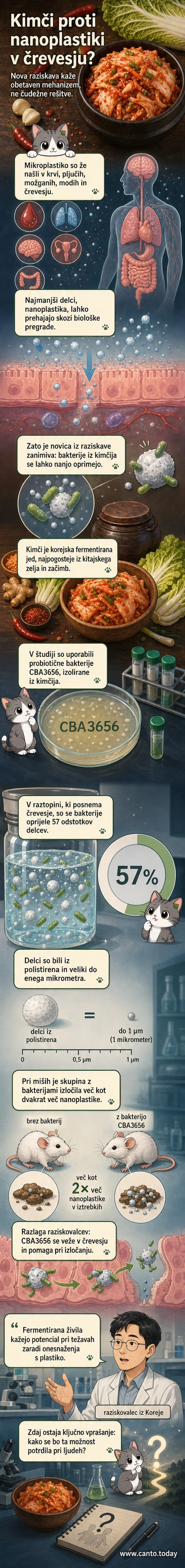 Ilustracija črevesja z bakterijami iz kimčija, ki vežejo delce mikroplastike in jih izločajo iz telesa