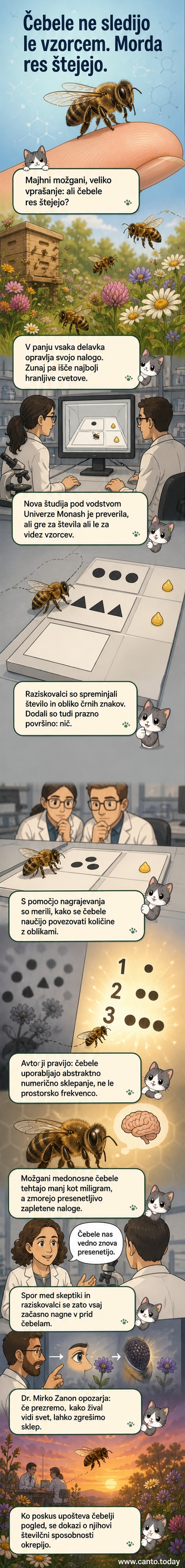 Ilustracija čebele, ki šteje cvetne liste, okoli nje so številke od 1 do 5 in prazna površina kot ničla.