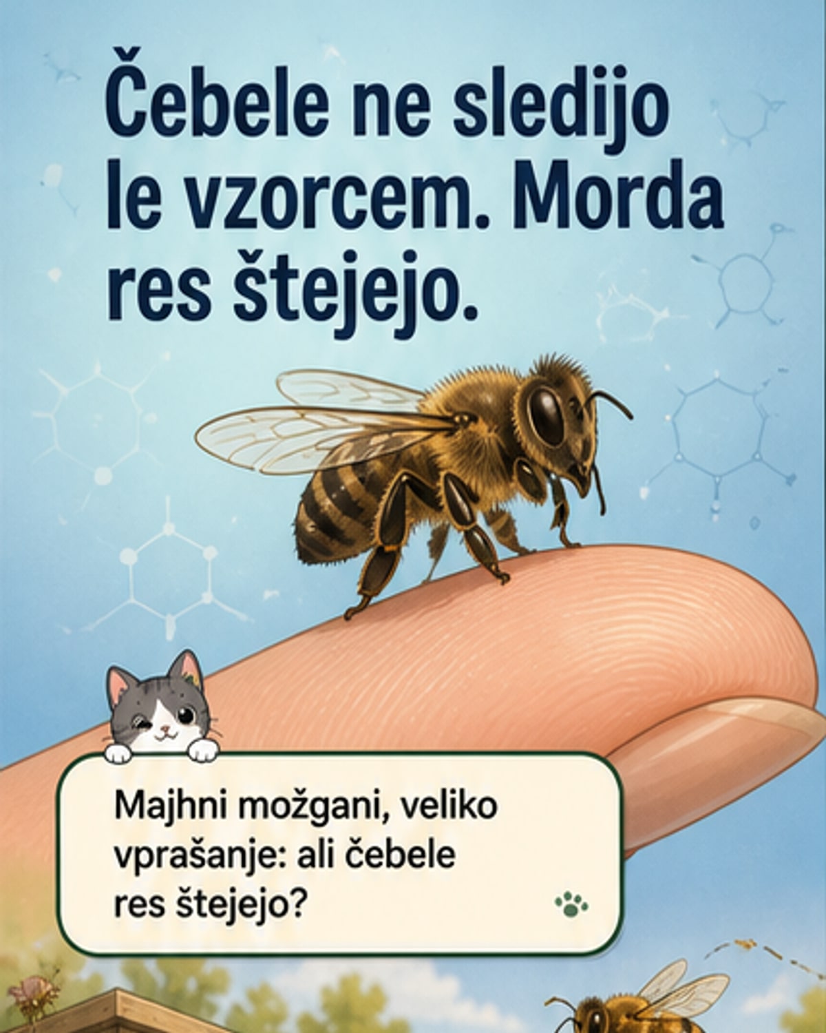 Čebele znajo šteti