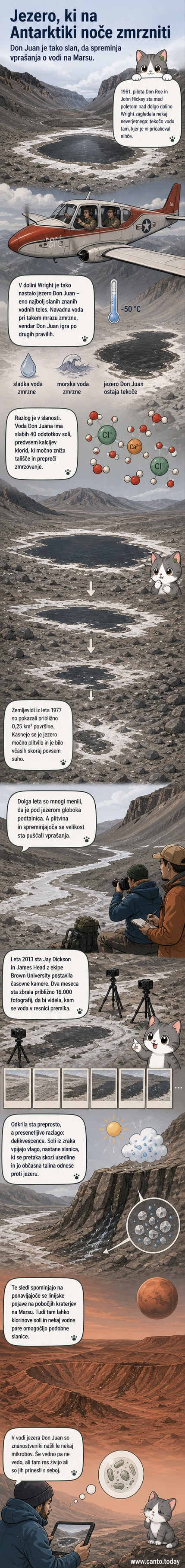 Pogled na belkasto površino jezera Don Juan na Antarktiki, s temnimi lužami slane vode med kamni in snegom, pod sivim nebesnim pokrovom.