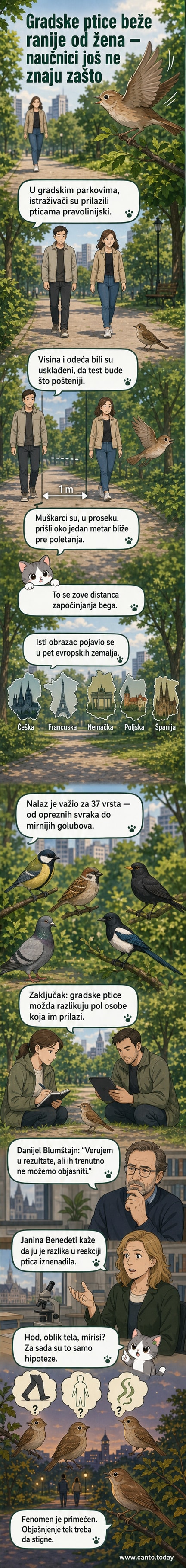 Илустрација: птица у градском парку која одлета када се жена приближава, док мушкарац стоји мирно на истој удаљености.