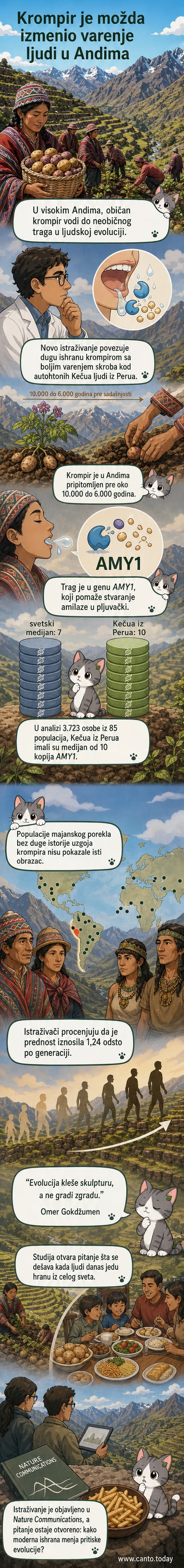 Карикатуралан приказ човека из Анда са искрашеним геномским ланцем и кромпиром у руци, док му се у стомаку приказује појачани процес варења скроба.