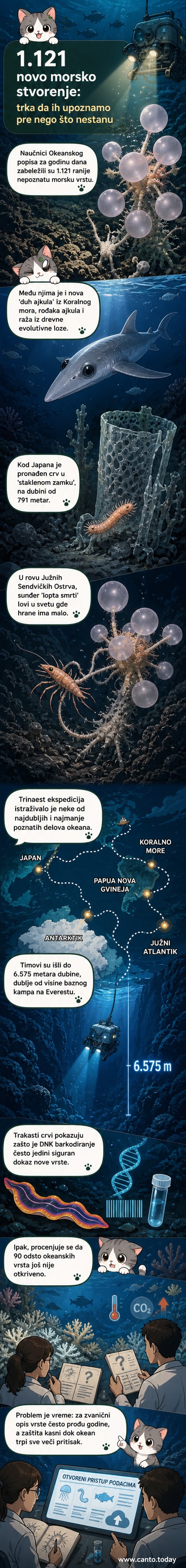 Илустрација нових морских врста: сунђер месождер, дубокоморска ајкула и симбиотски црв у стакленом сунђеру, на дну океана са подморницом у позадини