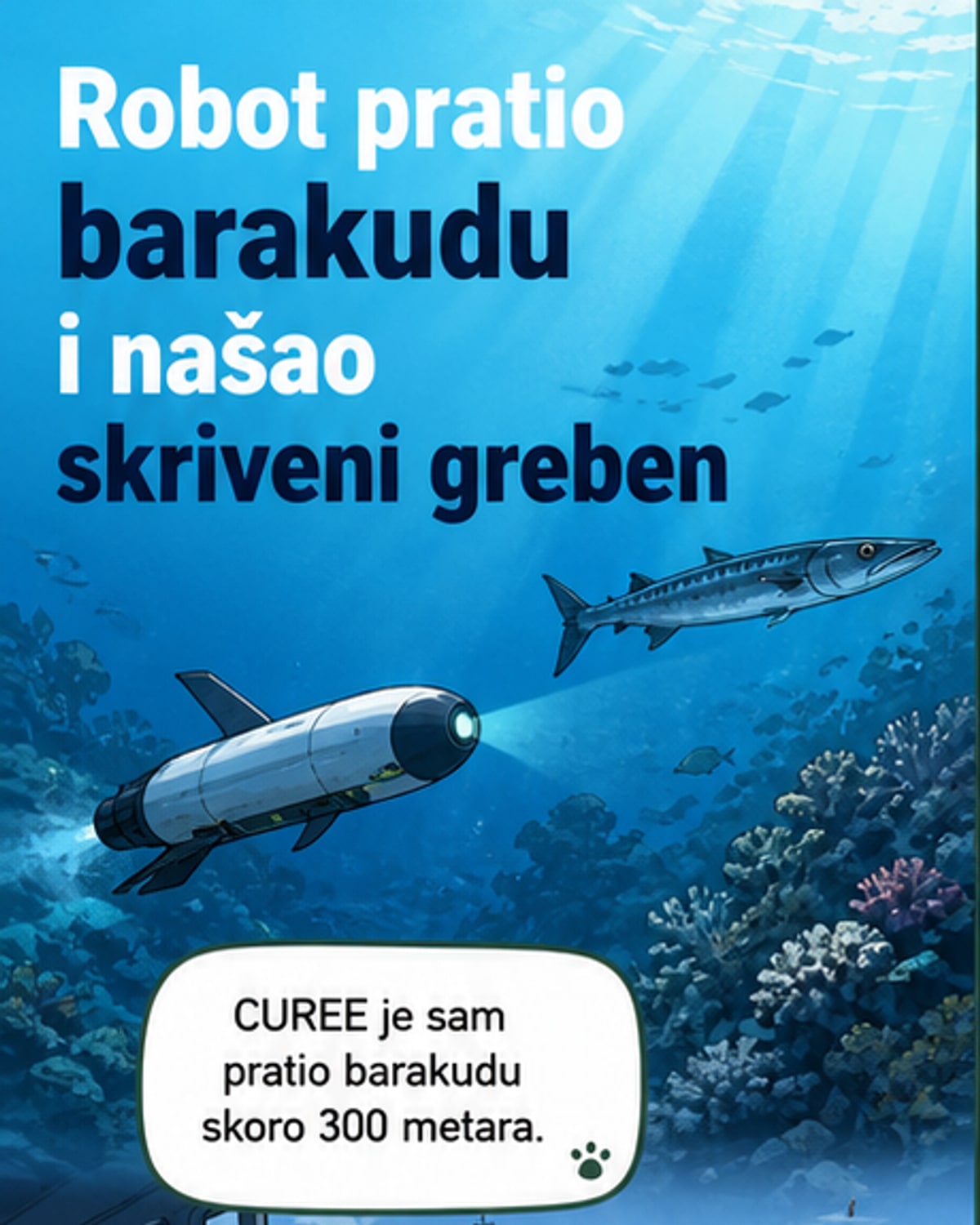 Robot pratio barakudu, otkrio skriveni svet
