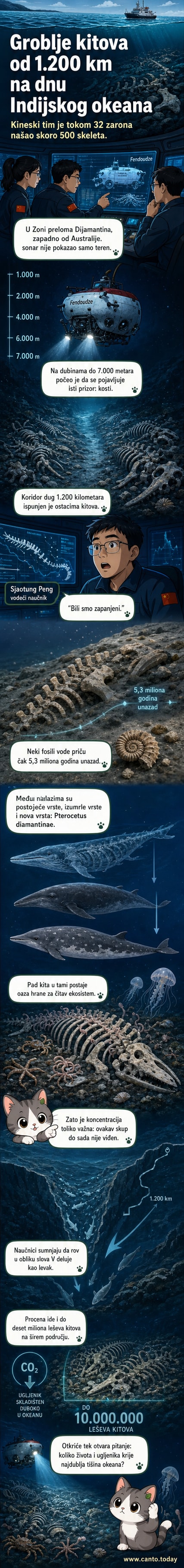 Илустрација дубокоморског пејзажа са остацима китова и малим створењима која живе у њиховим костима.