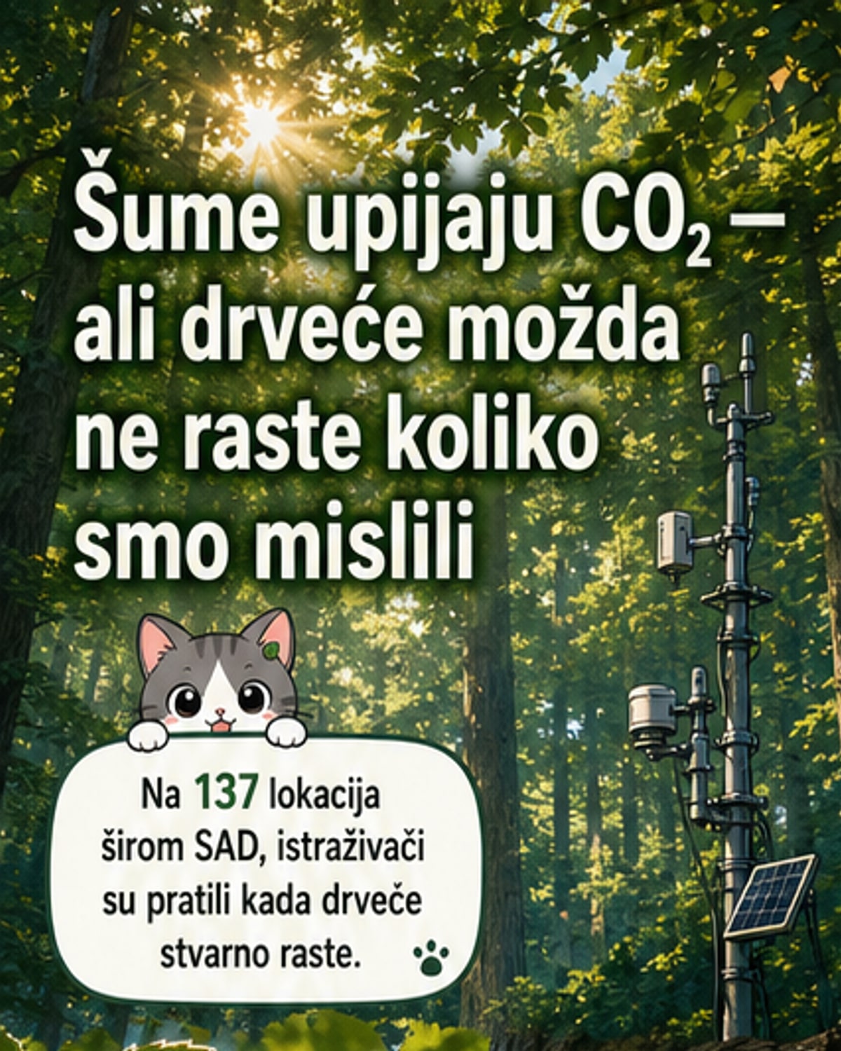 Drveće možda skladišti manje CO₂