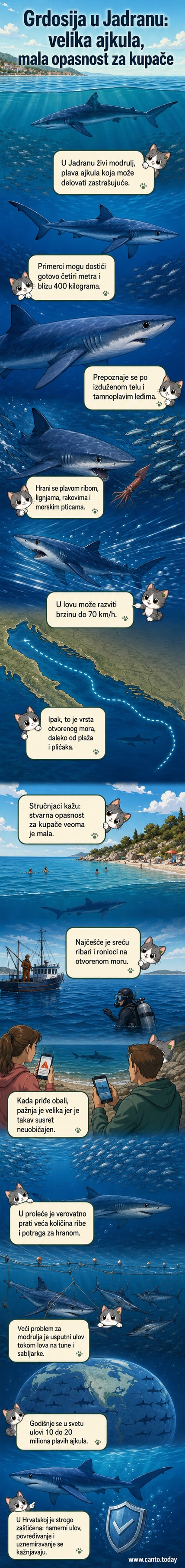 Илустрација плаве ајкуле која плови кроз Јадранско море, са текстом о њеној величини и безбедности за купаче.
