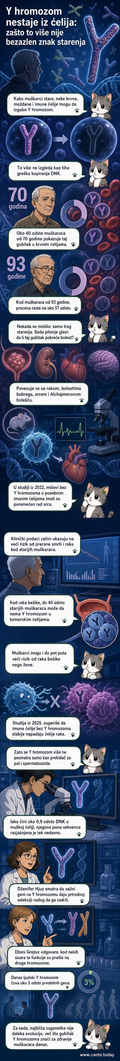 Ilustracija ljudskog hromozoma sa naglaskom na Y hromozom koji postepeno nestaje iz ćelija tokom starenja muškarca.