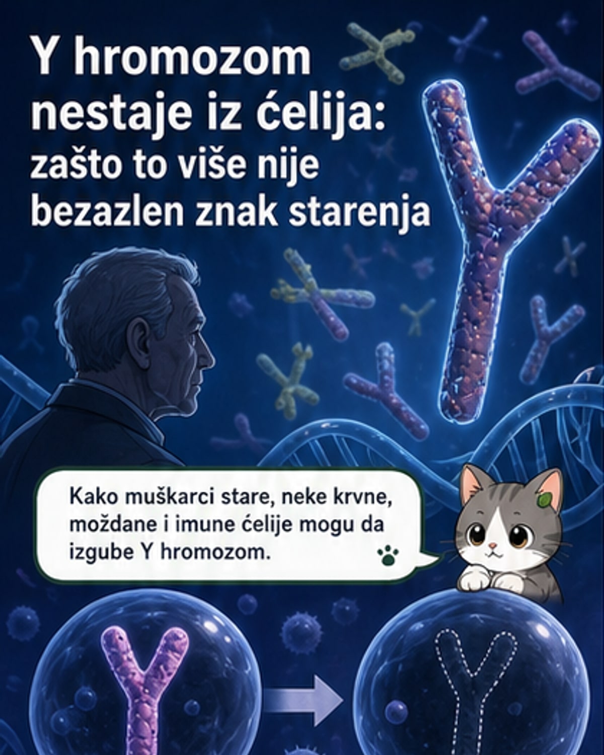 Gubitak Y hromozoma povezan sa bolestima