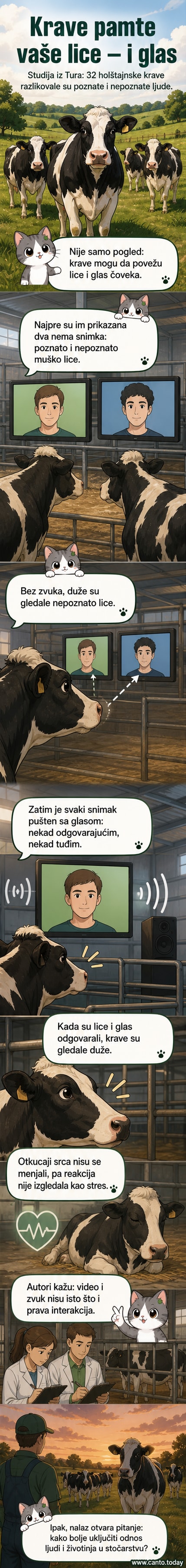 Ilustracija krave koja gleda u dva ekrana — na jednom je poznato lice, na drugom nepoznato — dok naučnici beleže njenu reakciju.