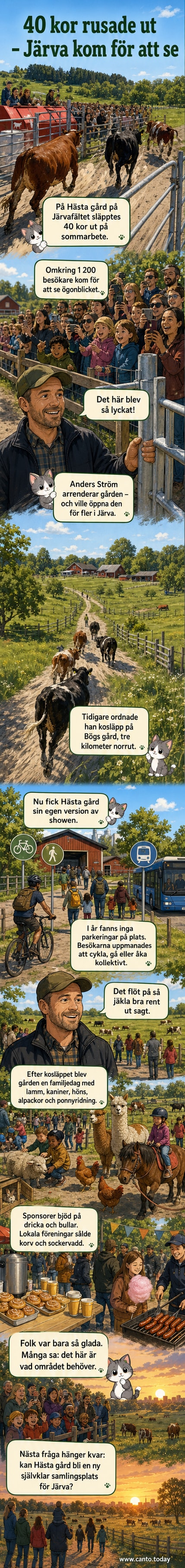 40 kor rusar ut på bete under ett soligt sommarbete-evenemang på Hästa gård, omgiven av glada barn och familjer.