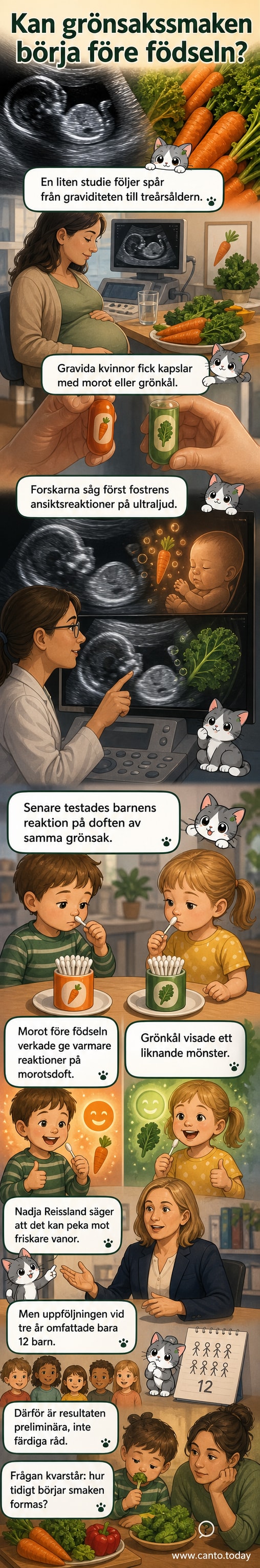 Illustration av ett foster i livmodern med doftpartiklar från morot och grönkål som når in, och ett barn som leende andas in samma doft efter födseln.
