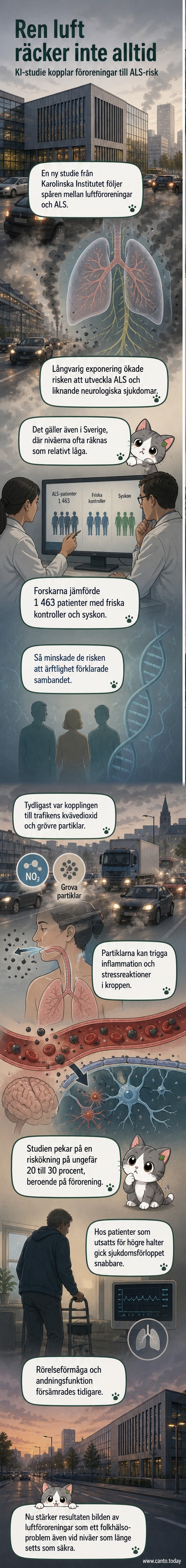 Illustration av en person som andas in förorenad stadsluft, med mikroskopiska partiklar som rör sig mot lungor och hjärna, med ALS-relaterade nervskador markerade i rött.
