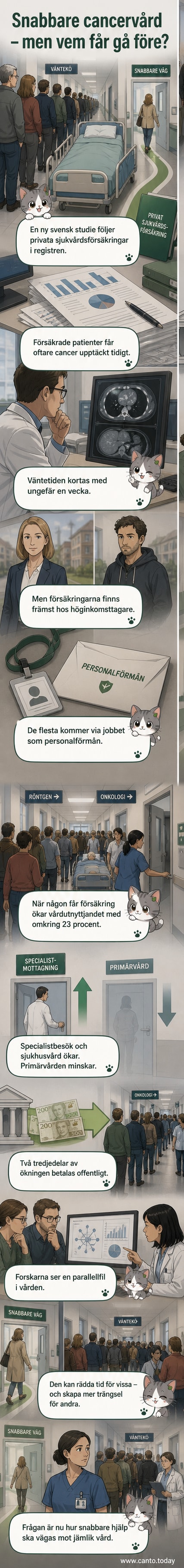 Illustration av två parallella köer i sjukvården – en lång offentlig kö och en kortare privat kö, med en pil som visar patientflöde från den privata till den offentliga vården.