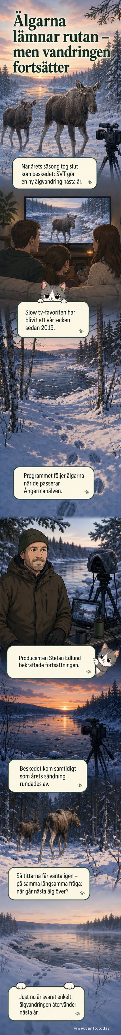 Illustrationsbild av en älg vid en älv, symboliserande SVT:s slow-TV-program "Den stora älgvandringen".