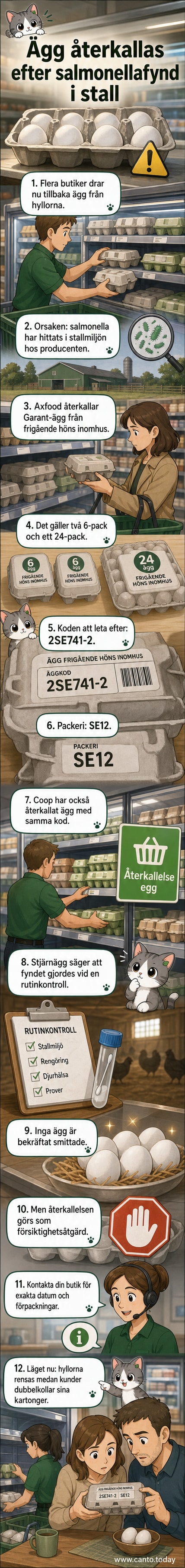 Illustration av äggkartong med varningssymbol och texten 'Återkallat – risk för salmonella'.