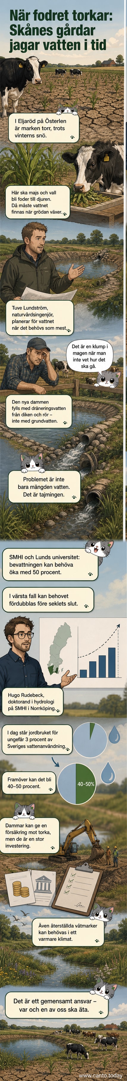 En torr åker i Skåne med majs som behöver bevattning, och en nybyggd damm för vattenlagring i bakgrunden.