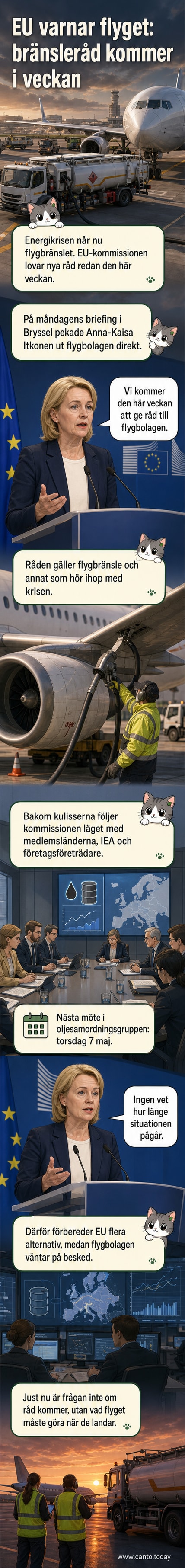 Illustration av ett flygplan ovanför en kartbild av Europa, med symboler för bränsledroppar och varningsflaggor som indikerar energikris och EU:s samordning.