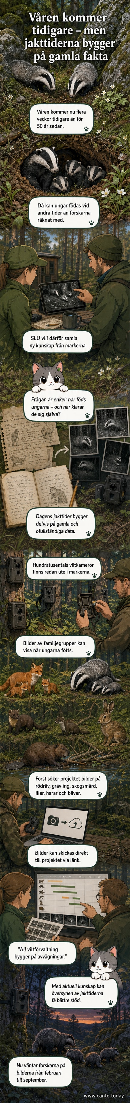 En viltkamera i skogen riktar sig mot en rödräv som går förbi med två ungar i släptåg.