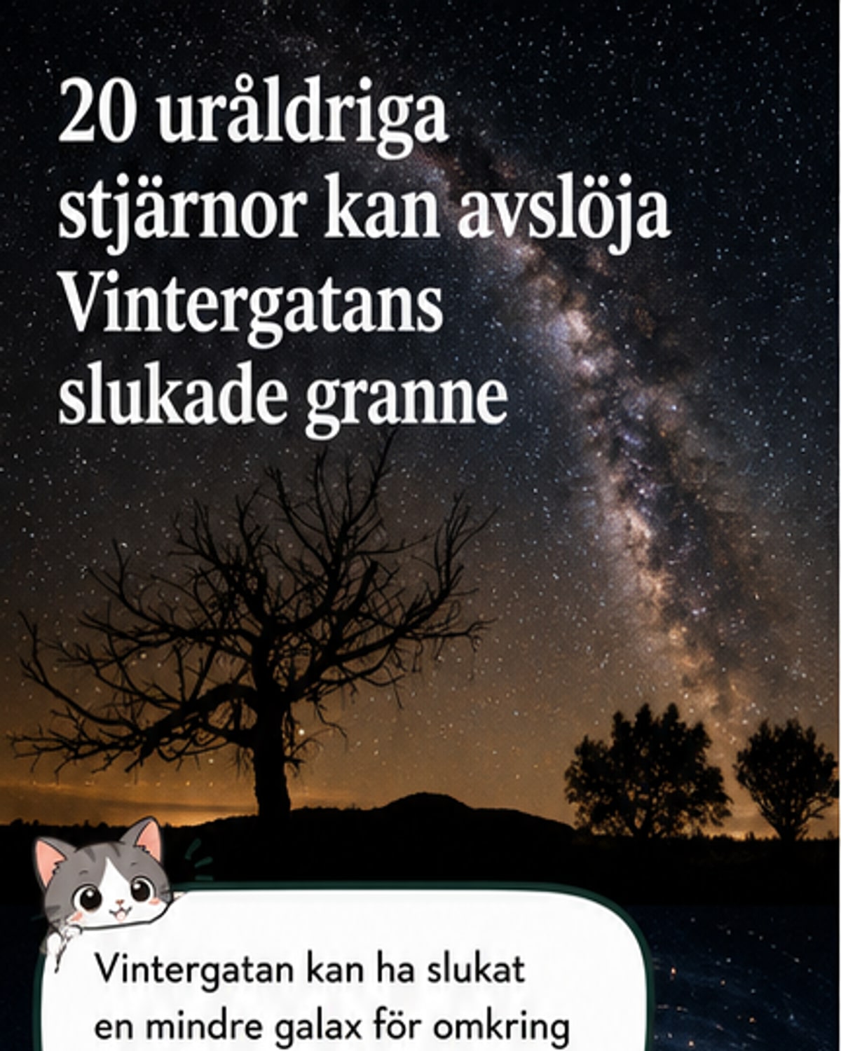 Stjärnorna från en förlorad galax