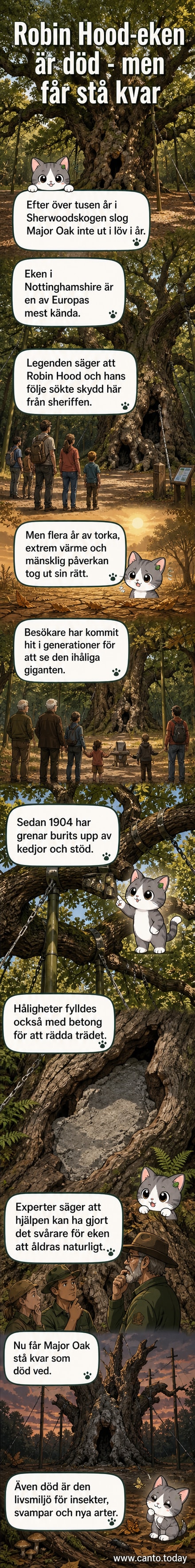 En massiv, äldre ek med bred stam och delvis kollapsade grenar står tyst i skogen, omgiven av gräs och dimma.