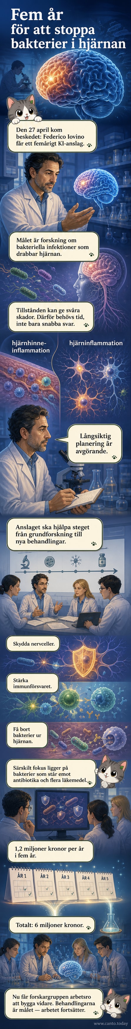 Illustration av hjärnan med förstorad vy av nervceller och bakterier, symboliserande forskning om hjärninfektioner och antibiotikaresistens.