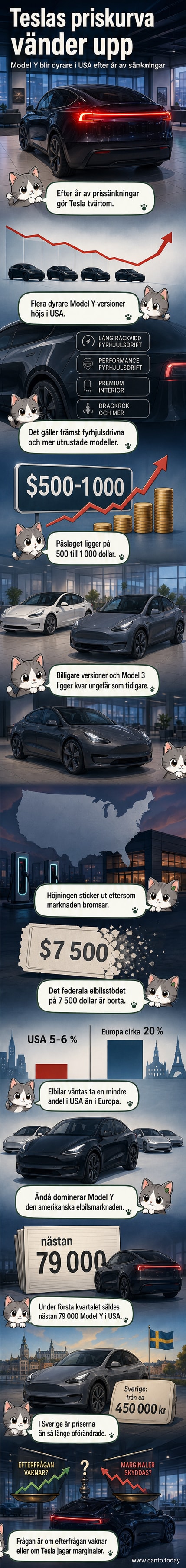 Illustration av en Tesla Model Y med priset markerat i dollar som stiger, mot en bakgrund av USA:s kustlinje och elbilsmarknadsdiagram.