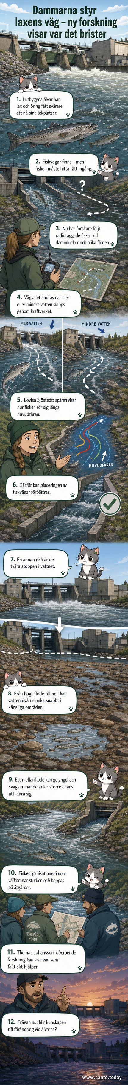 Illustration av en lax som simmar i en älv med en vattenkraftsdamm i bakgrunden, där flödet varierar mellan högt och lågt.