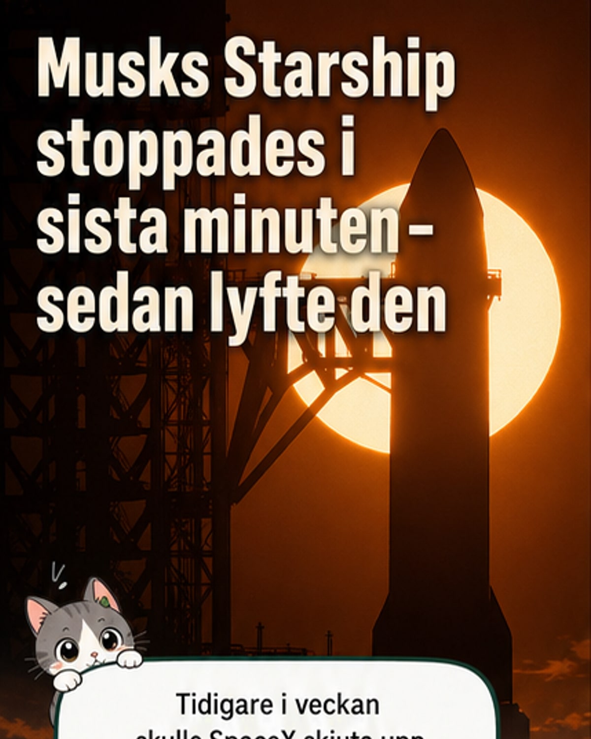 Musks jätteraket lyfte till slut