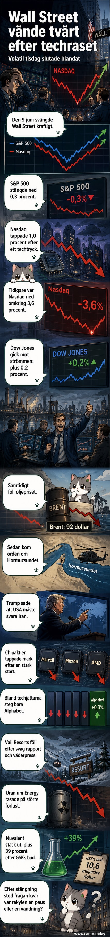 Illustration av Wall Street med svängande aktiekurvor, en helikopter över Hormuzsundet och symboler för olja, teknik och läkemedel.