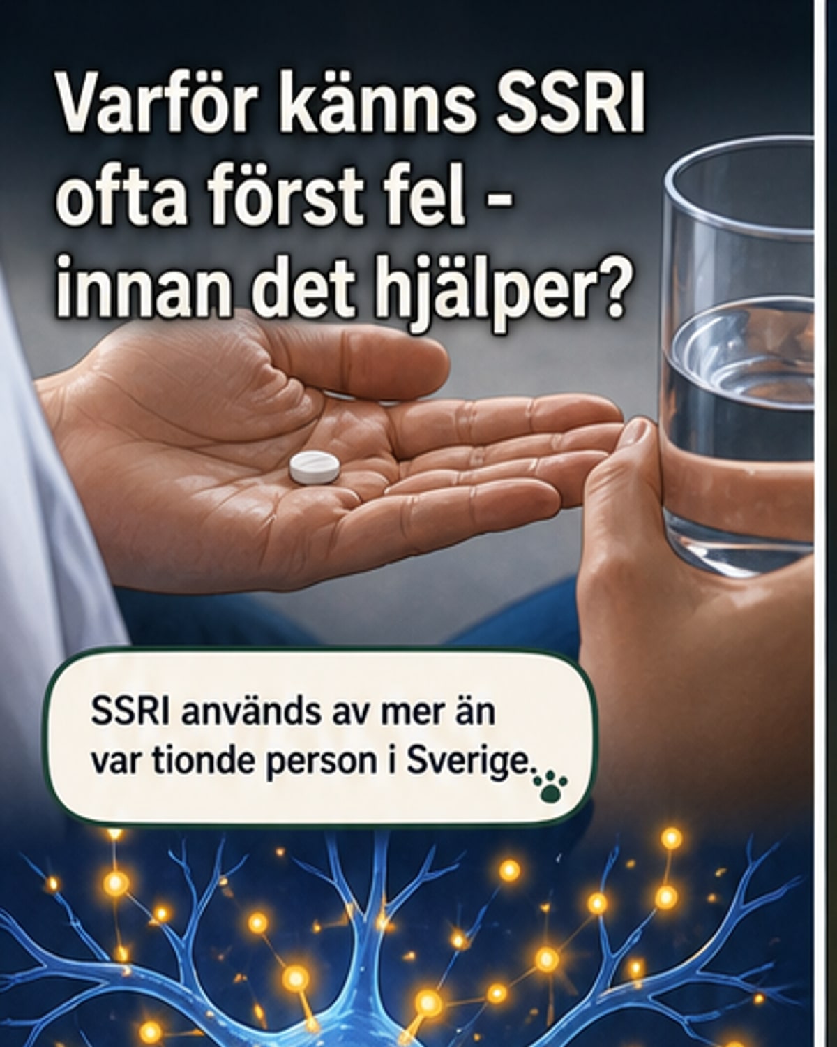 Illustration av hjärnan med markerade serotoninceller som visar två olika reaktioner – en snabb tillfällig och en senare varaktig – vid SSRI-behandling.