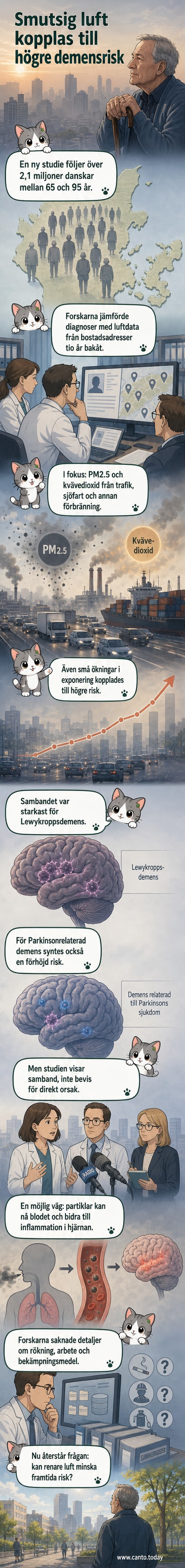 Illustration av en stad med tät trafik och en persons hjärna där inflammation markerats, symboliserande kopplingen mellan luftföroreningar och demensrisk.