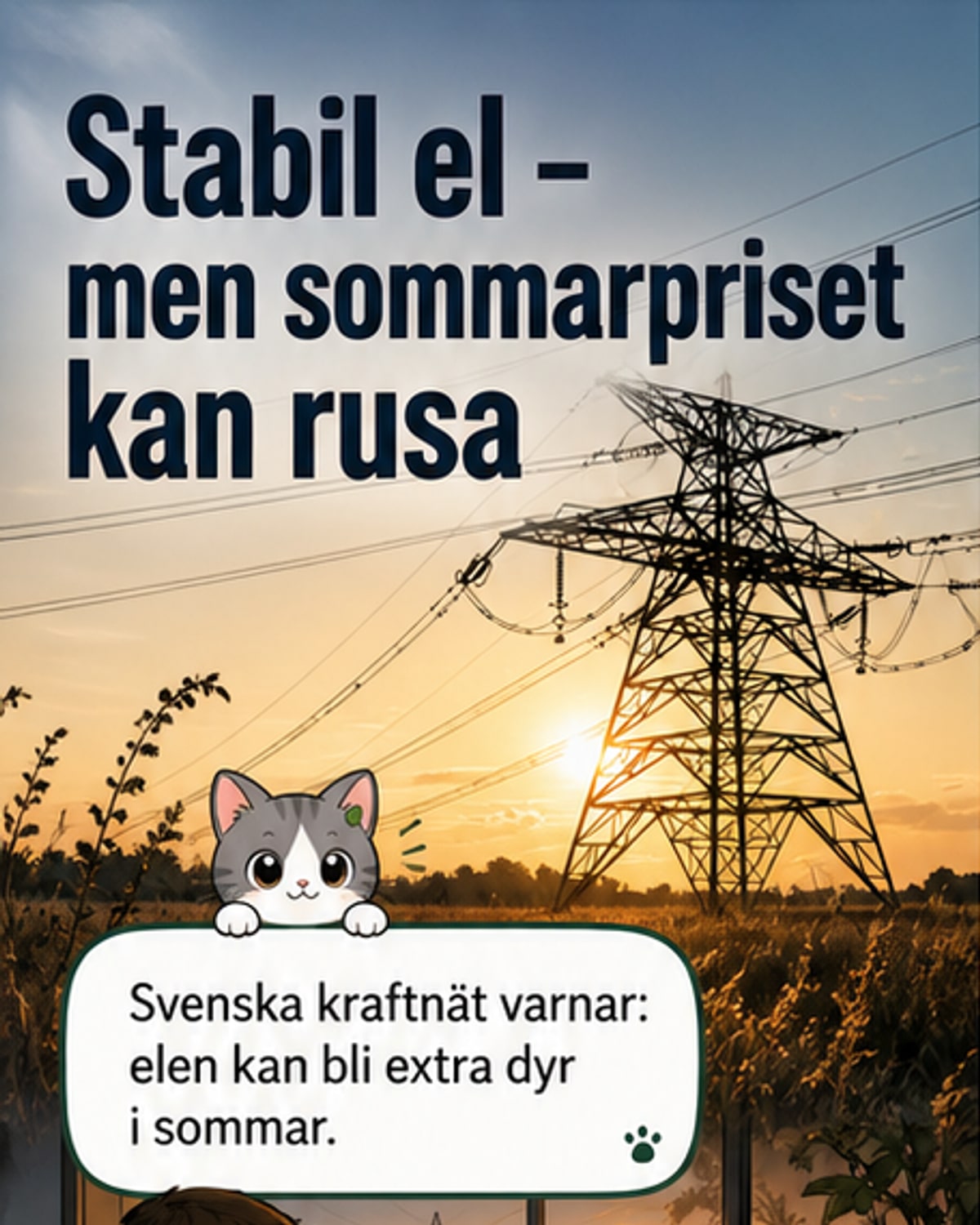 Elpriserna kan bli rekordhöga