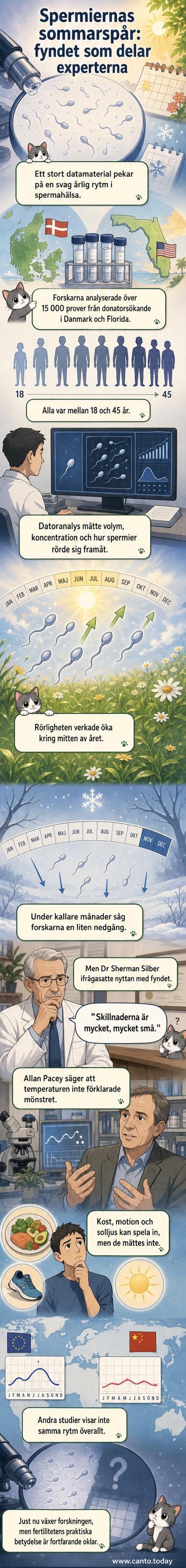 Illustration av en manlig figur med en tidslinje runt kroppen som visar små variationer i spermakvalitet under olika årstider.